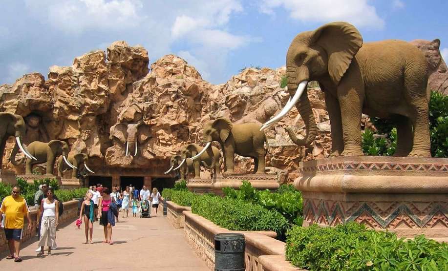 güney afrika turu pilanesberg milli parkı